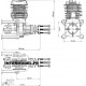 DLE 55