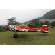 YAK 55M 100CC V3 (GWCU404C)