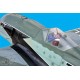 FOCKE-WULF FW 190 ARTF 1.78M