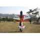 EDGE 540 50CC (GW314D)