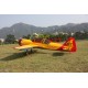 SUKHOI 29 50CC (GW322B)