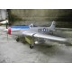 P51D MUSTANG 1.75M (.120)