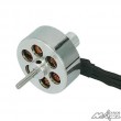 2211 - 1700KV 16grs