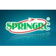 SPRING RC